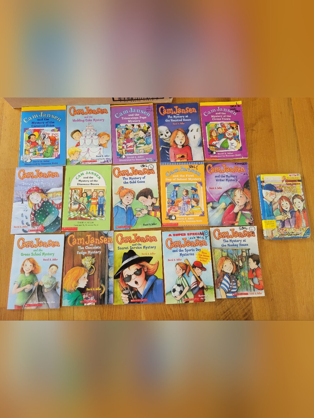 Cam Jansen Chapter Book Bundle